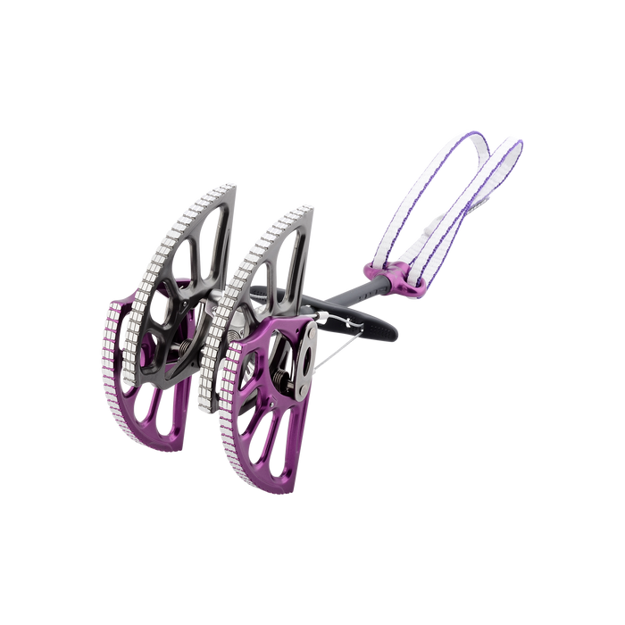 7 (Purple)